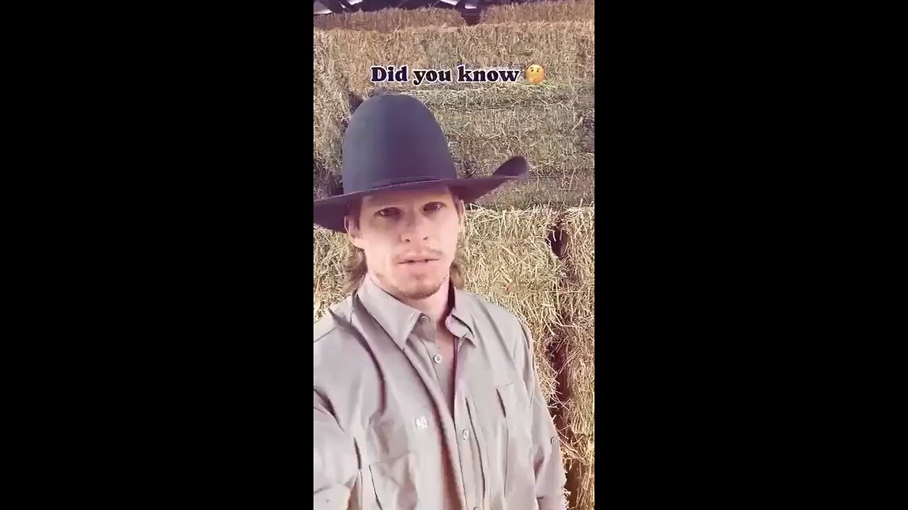 testing McDonalds Meat