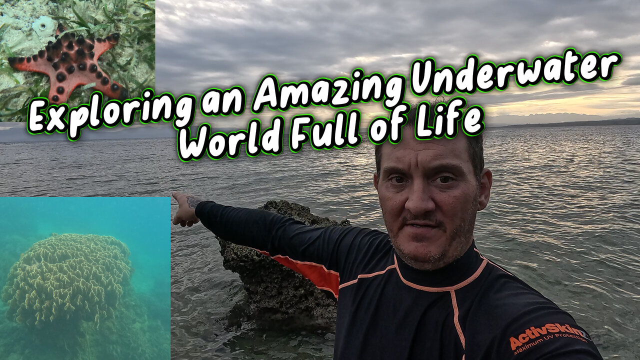 Snorkeling Adventure: Exploring an Amazing Underwater World Full of Life