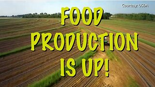 Food Production Is Up And Prices Are Cooling As U.S. In Fight W/ Mexico Over Water