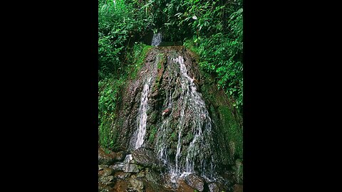 Nature loves 🍃💗