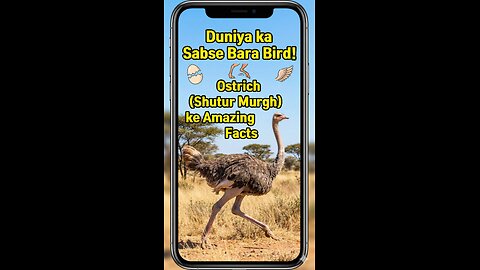 Duniya ka Sabse Bara Bird | Ostrich (Shutur Murgh) ke Amazing Facts”
