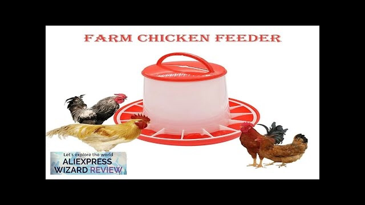 Poultry Feeders Plastic 1.5Kg Reusable Chick Hen Quail Pigeon Feeding Watering Tool Review