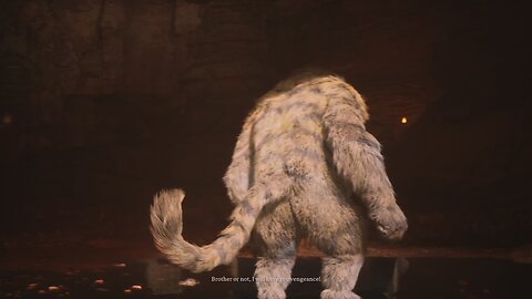 Black Myth Boss Fight - Full FIght