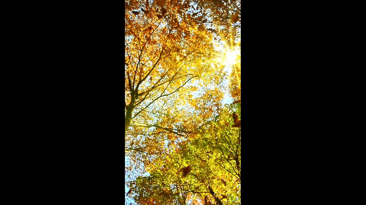 New Music(Instrumental)