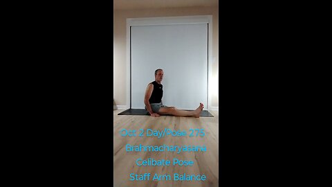 Brahmacharyasana / Celibate Pose / Staff Arm Balance