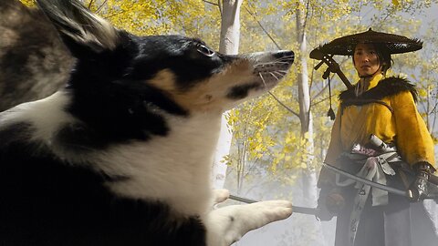 Join my Corgi and I in Ezo! We continue Atsu's revenge tale! | You being here means so much to us!