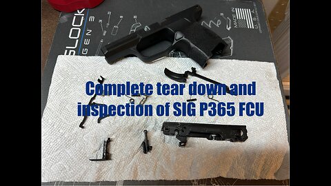 Sig Sauer P365 - Complete disassembly tear down inspection for damage & wear. Planning improvements