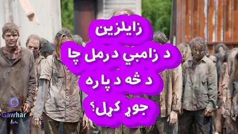 د زامبي درمل څه دي؟ What is Zombie Drug?