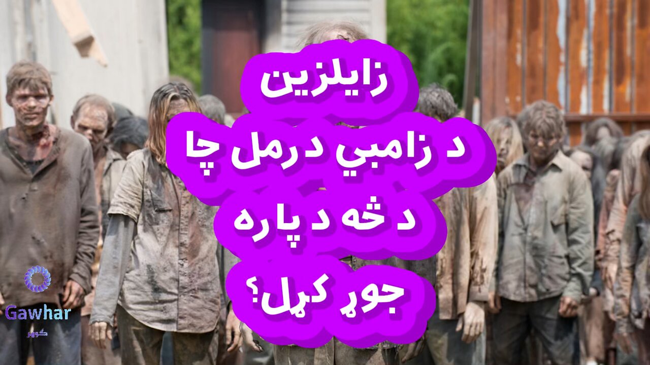 د زامبي درمل څه دي؟ What is Zombie Drug?