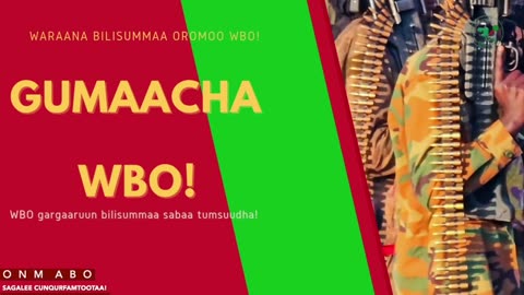 Gabaasa Gumaacha ONM-ABO Onkoloolessa 21-2025 itti dhiyaadhaa!