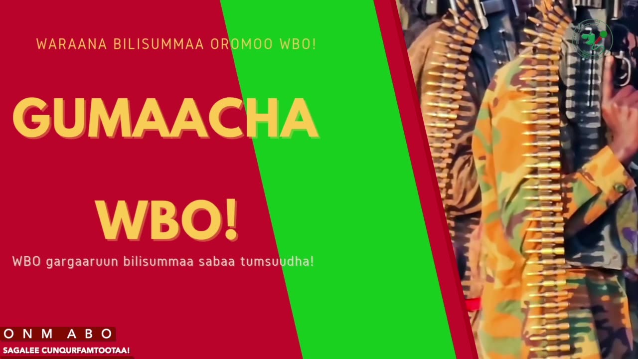 Gabaasa Gumaacha ONM-ABO Onkoloolessa 21-2025 itti dhiyaadhaa!
