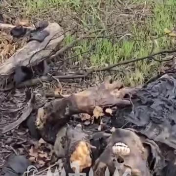 Ukraine Russia war combat/related footage 12/7/2025