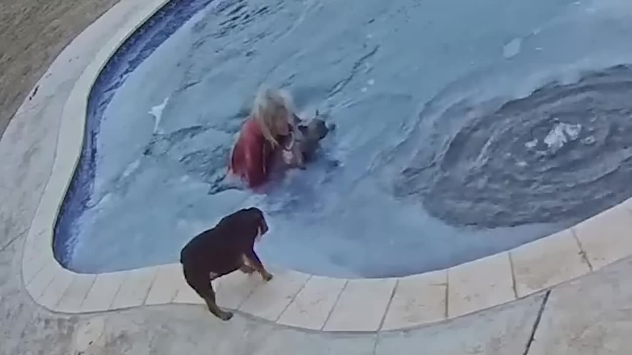 Woman Jumps in Frozen Pool to Save Her Puppy