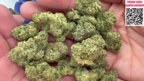 Premium Sunset Sherbet Dank from Hello Mary! Dankin with the Flamingos Review!