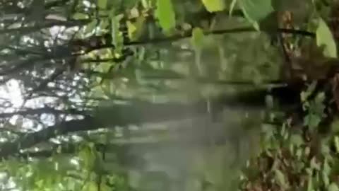 Ukraine war combat footage 10/4/25