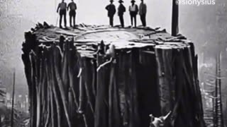 In Avatar movie the tree of life was cut down