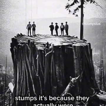 In Avatar movie the tree of life was cut down