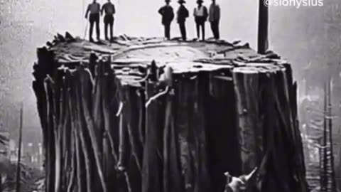 In Avatar movie the tree of life was cut down