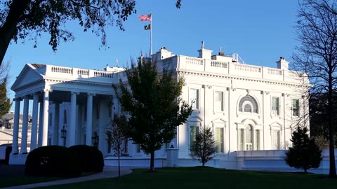 Trump flew on Epstein jet 8 times according to newly released files