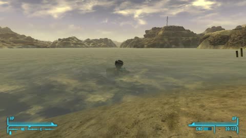 Victor in the water! Why??