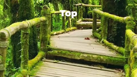Everglades Florida Travel Guide: Best Places to Visit In 2026