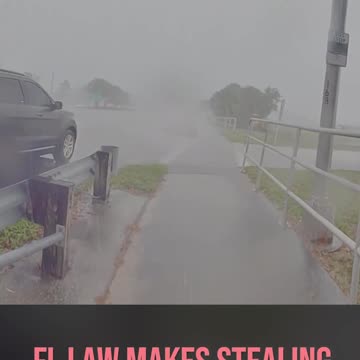 New Florida Law Makes Stealing 3 Times or More a Felony