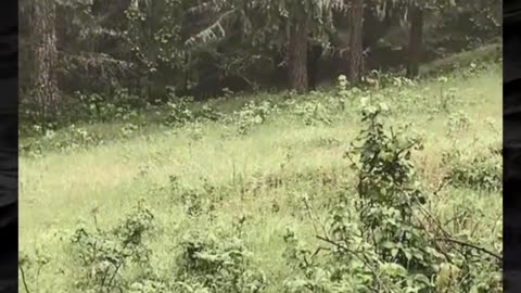 😱👻 The Scariest Paranormal Encounters! | TheHauntingHour