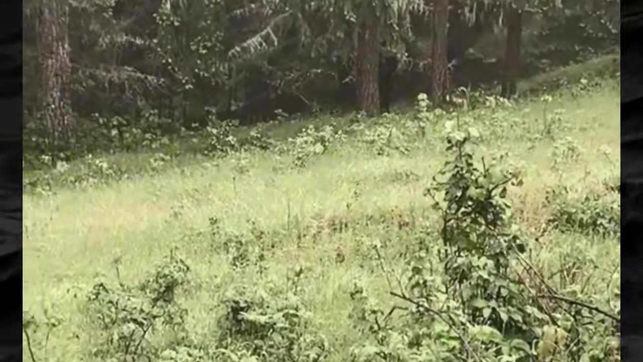 😱👻 The Scariest Paranormal Encounters! | TheHauntingHour