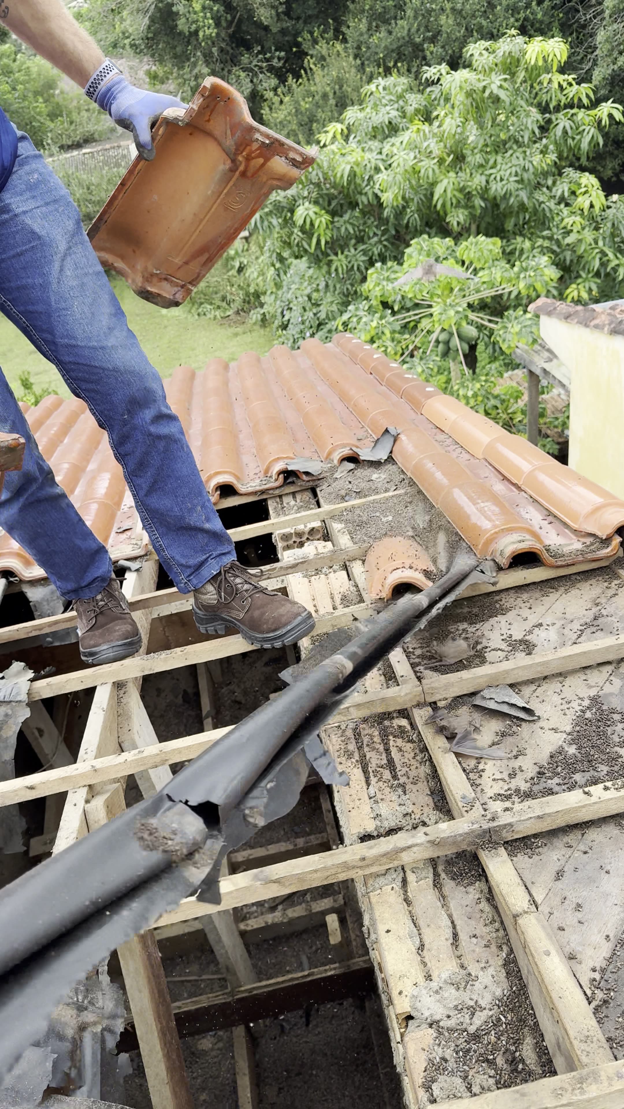 Bats Swarm Out Of Rio Grande do Sul Rooftop