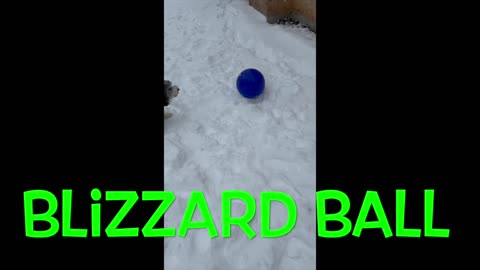 Blizzard Ball