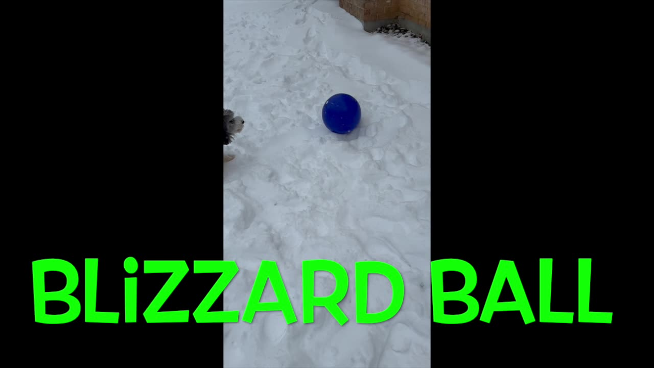 Blizzard Ball