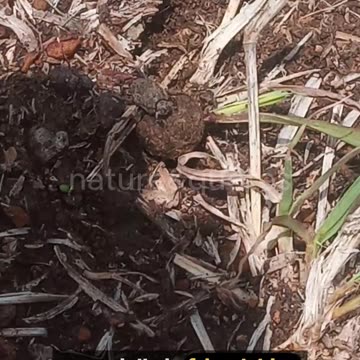 ten powerfull traits of being a loner