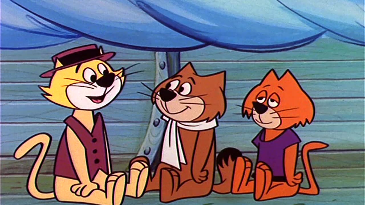 Top cat cartoon episode