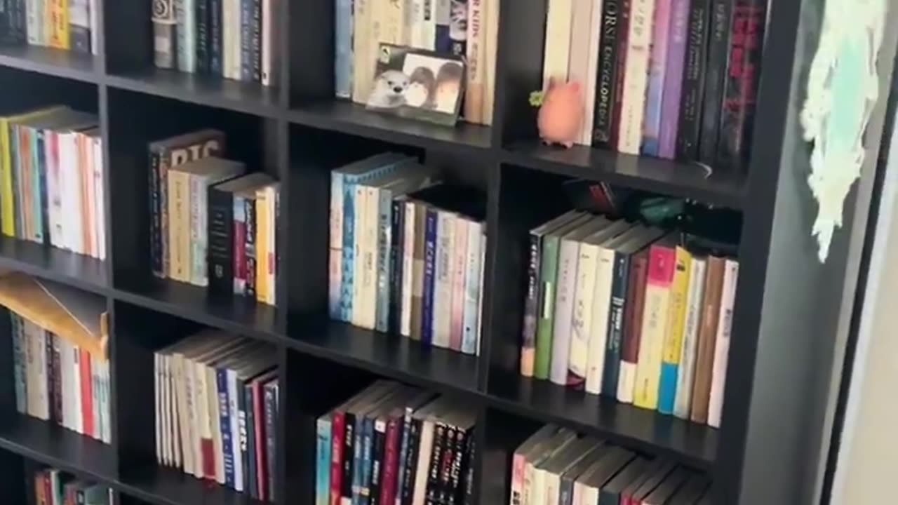 来看看,是什么让一位做美国移民中介的人自毁饭碗? 两个孩子在美国全毁了