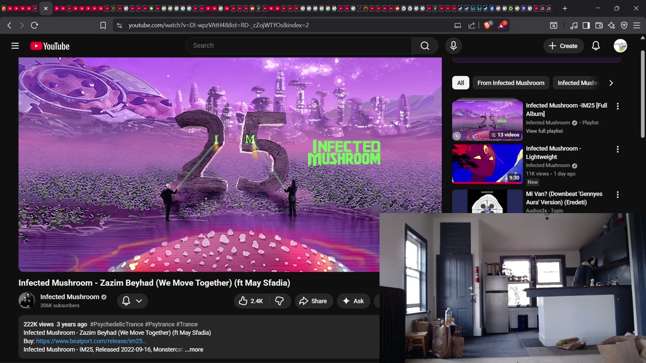Lev &Virginia? Spider Pairing: Audax (Bold) Jumping Spider. Christian Crouch LIVE