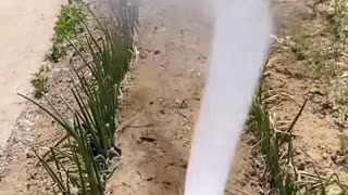 🤯💪 Watch This Tool In Action! | FeedMyCuriosity