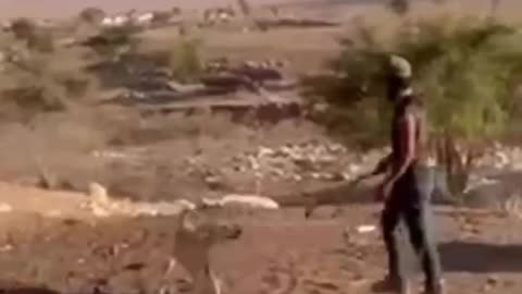 The minor “shepherds” on the hilltops, prized by the Israeli government