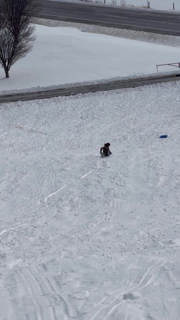 Freestyle Sledding Flip And Backward Ride To The Finish Line