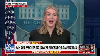 Karoline Leavitt MIC DROPS arrogant CNN reporter for ignoring the obvious truth