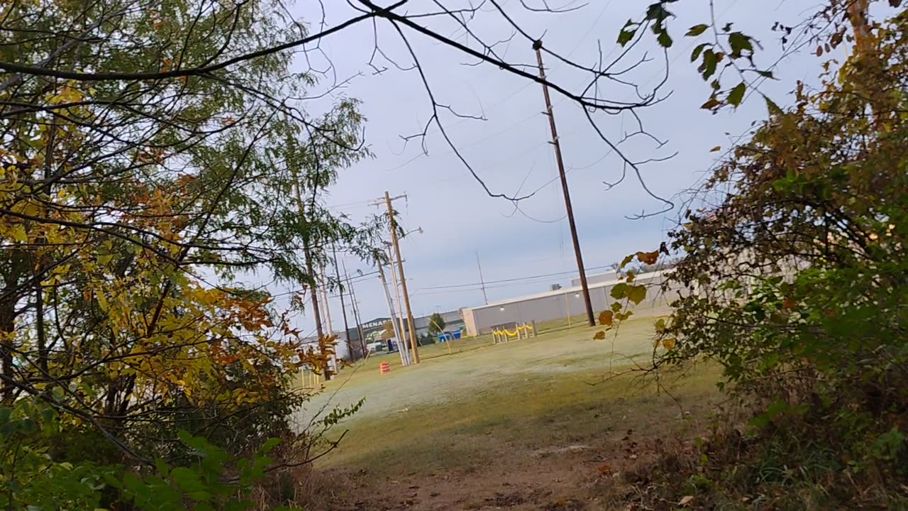 Bye-bye stealth woods