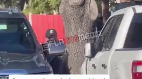 Dallas Buffet Lot 🚨 Alleged Car-Theft Attempt Caught on Camera 👀