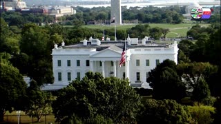 TWO CATS U.S. POLITICAL NEWS