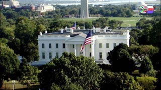 TWO CATS U.S. POLITICAL NEWS