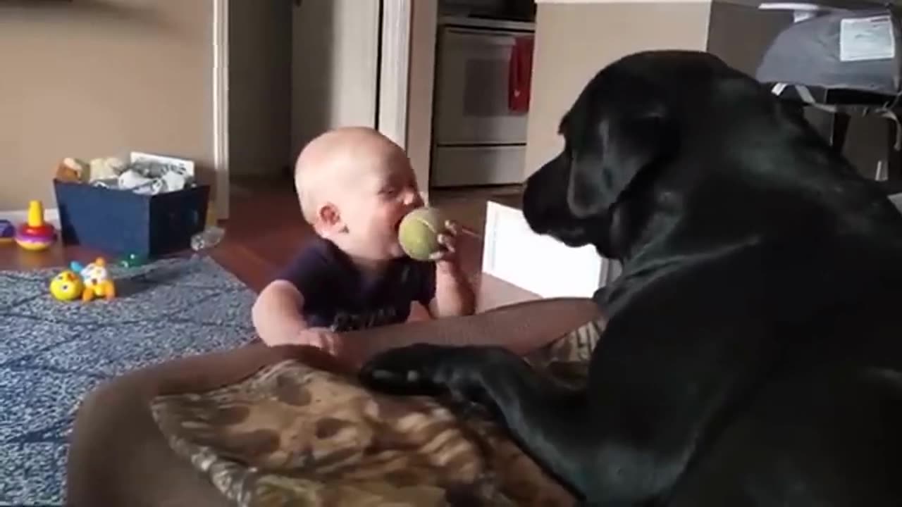 Cute kids and dogs having the best playtime