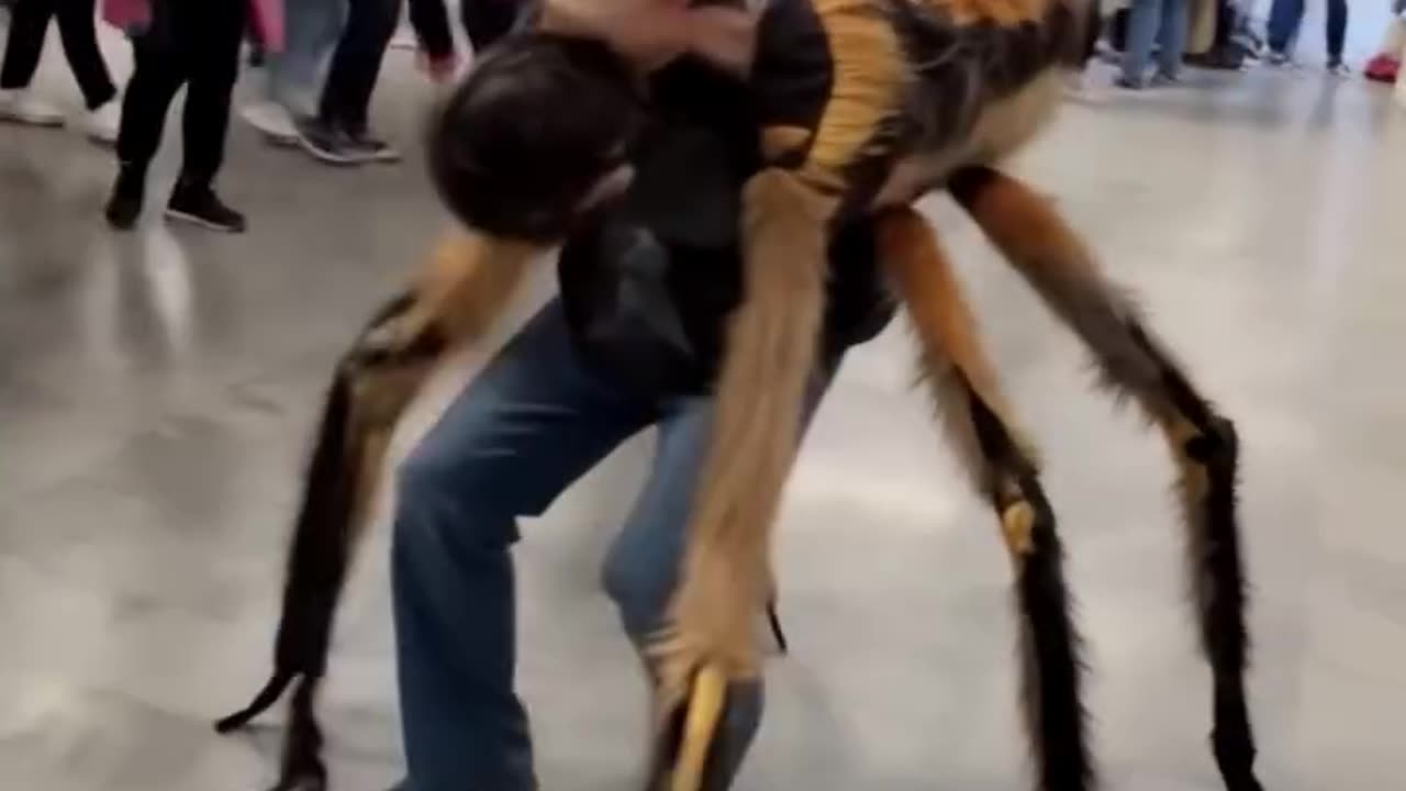 ðŸŽ