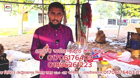 সরিষার খৈল কি? কেন ব্যবহার করবেন? গাছের জন্য শক্তিশালী প্রাকৃতিক সার