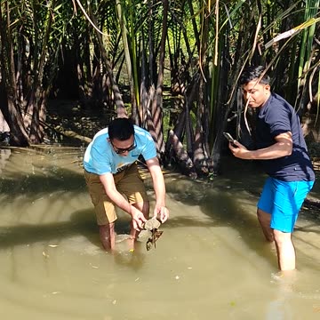 Seahorse captured at cox bazar
