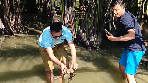 Seahorse captured at cox bazar