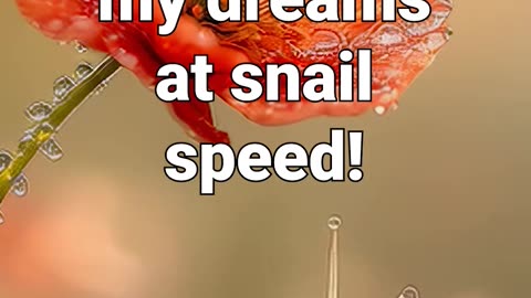 Racing to the flower of my dreams — at snail speed! #anxiety #relaxing #meditationmusic #healing