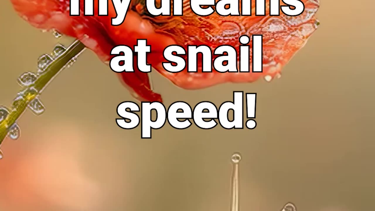 Racing to the flower of my dreams — at snail speed! #anxiety #relaxing #meditationmusic #healing